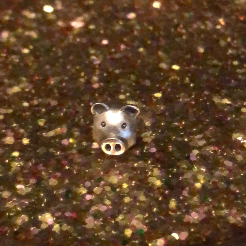 Pandora charm